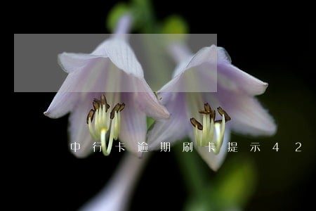 中行卡逾期刷卡提示42 中行卡逾期刷卡提示42