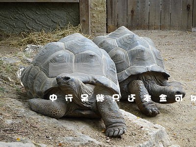 中行呆账只还本金可以吗 中行呆账只还本金可以吗