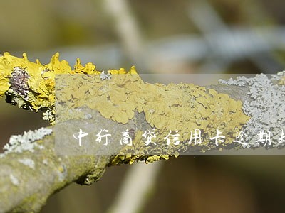 中行商贷信用卡逾期规定 中行商贷信用卡逾期规定