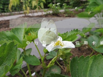 中行怎么处理信用卡逾期