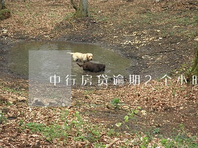 中行房贷逾期2个小时 中行房贷逾期2个小时