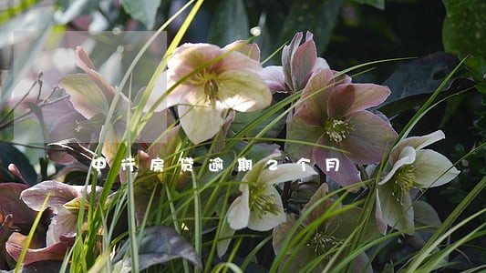 中行房贷逾期2个月 中行房贷逾期2个月