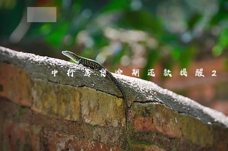 中行房贷逾期还款提醒2次 中行房贷逾期还款提醒2次