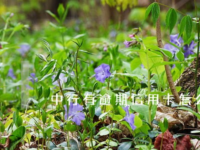中行有逾期信用卡怎么快速提额