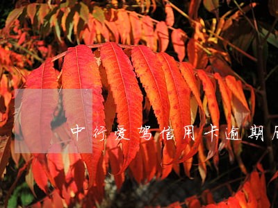 中行爱驾信用卡逾期后的违约金