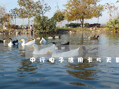 中行电子信用卡5天算逾期吗 中行电子信用卡5天算逾期吗