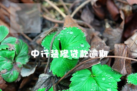 中行装修贷款逾期 中行装修贷款逾期