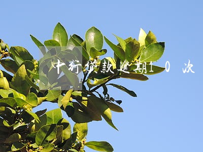 中行贷款逾期10次