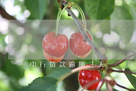 中行贷款逾期三天