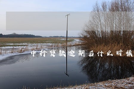 中行贷款逾期后什么时候扣 中行贷款逾期后什么时候扣