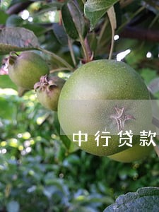 中行贷款逾期多长时间 中行贷款逾期多长时间
