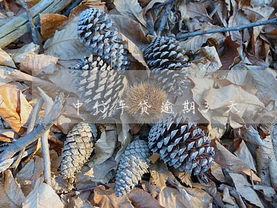 中行车贷逾期3天 中行车贷逾期3天