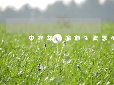 中行车贷逾期3天怎么办 中行车贷逾期3天怎么办