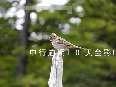 中行逾期10天会影响征信吗