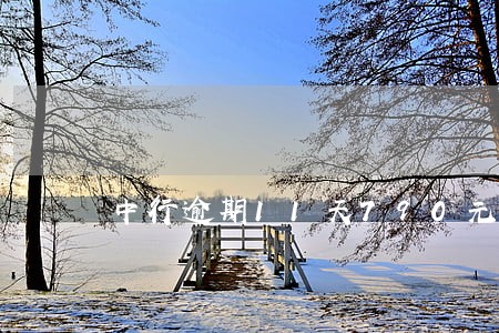 中行逾期11天790元