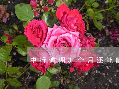 中行逾期3个月还能解开吗 中行逾期3个月还能解开吗