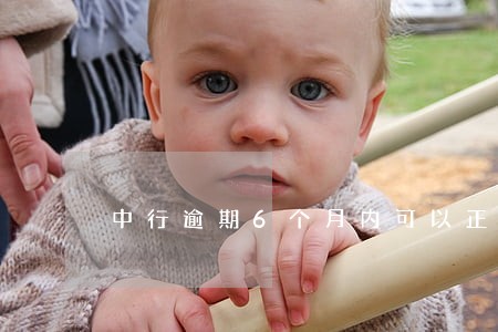 中行逾期6个月内可以正常使用