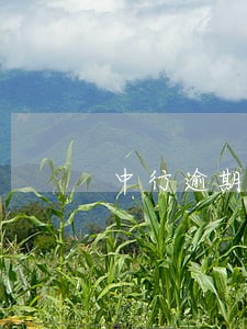 中行逾期9万 中行逾期9万