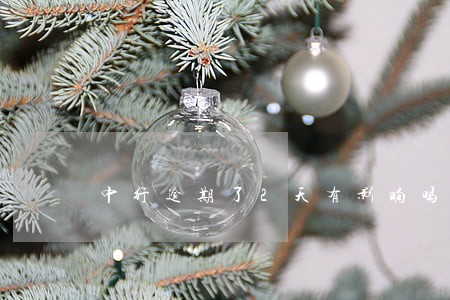 中行逾期了2天有影响吗 中行逾期了2天有影响吗