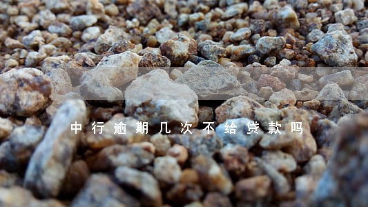 中行逾期几次不给贷款吗 中行逾期几次不给贷款吗
