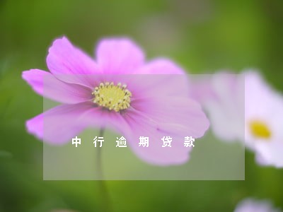 中行逾期贷款 中行逾期贷款