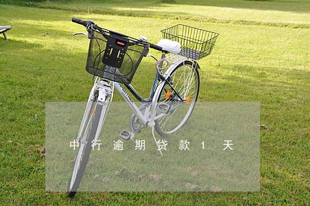 中行逾期贷款1天 中行逾期贷款1天