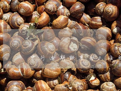 中行逾期额度为0注销 中行逾期额度为0注销