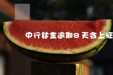 中行钛金逾期8天会上征信吗 中行钛金逾期8天会上征信吗