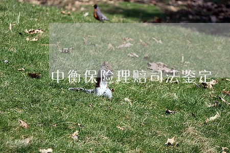 中衡保险理赔司法鉴定 中衡保险理赔司法鉴定