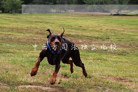 中西方司法独立比较 中西方司法独立比较