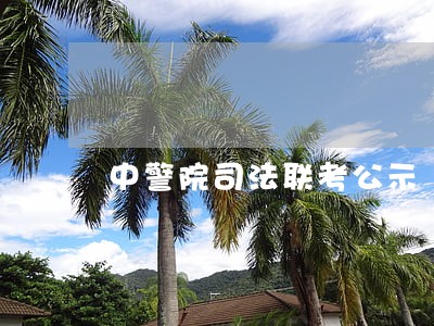 中警院司法联考公示