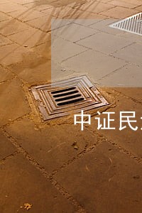 中证民法 中证民法