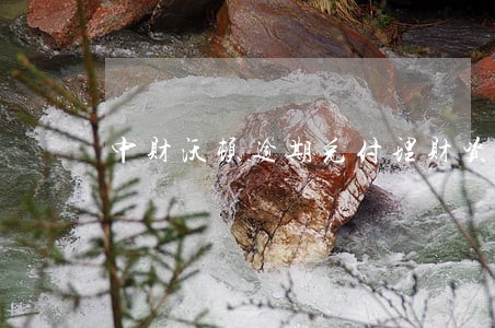 中财沃顿逾期兑付理财资金 中财沃顿逾期兑付理财资金