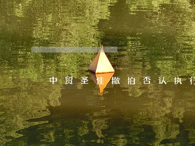 中贸圣佳撤拍否认执行法院禁令