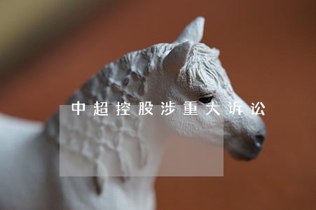 中超控股涉重大诉讼 中超控股涉重大诉讼