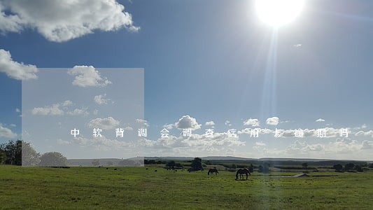 中软背调会调查信用卡逾期吗 中软背调会调查信用卡逾期吗