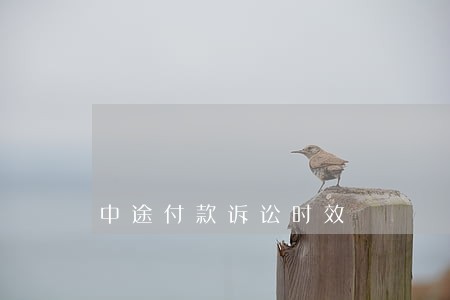 中途付款诉讼时效