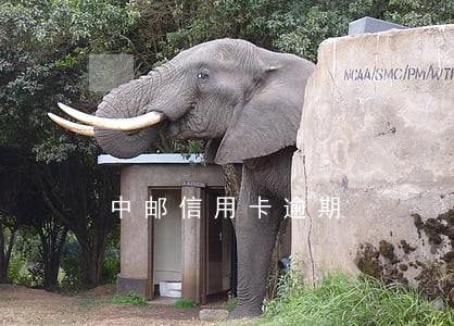 中邮信用卡逾期 中邮信用卡逾期