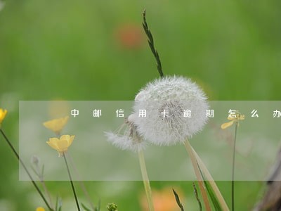 中邮信用卡逾期怎么办 中邮信用卡逾期怎么办