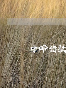 中邮借款逾期2年 中邮借款逾期2年