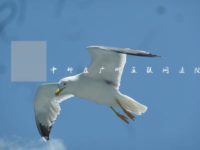中邮在广州互联网法院最新案件 中邮在广州互联网法院最新案件