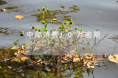 中邮消费10万逾期 中邮消费10万逾期