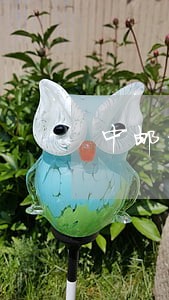中邮消费扣款失败导致逾期2天 中邮消费扣款失败导致逾期2天