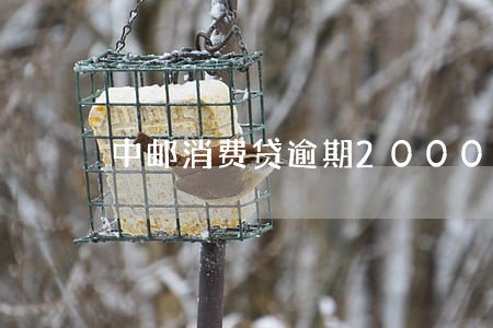 中邮消费贷逾期2000 中邮消费贷逾期2000