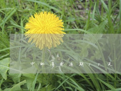 中邮消费逾期15天 中邮消费逾期15天