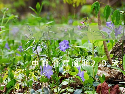 中邮消费逾期20天 中邮消费逾期20天