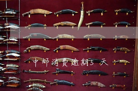 中邮消费逾期5天