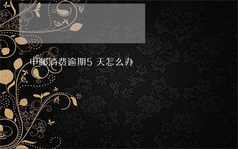 中邮消费逾期5天怎么办 中邮消费逾期5天怎么办