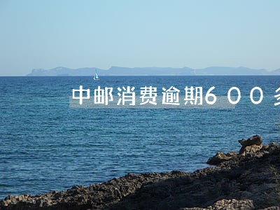 中邮消费逾期600多 中邮消费逾期600多