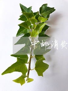 中邮消费邮你贷逾期6 中邮消费邮你贷逾期6